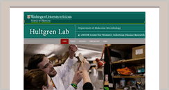 Desktop Screenshot of hultgrenlab.wustl.edu