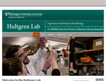 Tablet Screenshot of hultgrenlab.wustl.edu