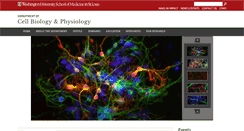 Desktop Screenshot of cellbiology.wustl.edu